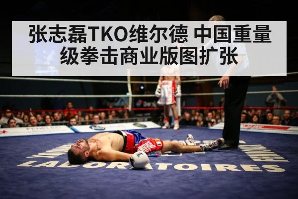 张志磊TKO维尔德 中国重量级拳击商业版图扩张