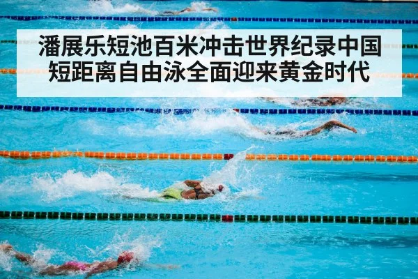 freestyle swimming competition
